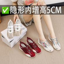 5cm~�[�΃����߰��٬�����ħ�g�N��ӖЬŮ2026��Ƥ����\�����eЬ