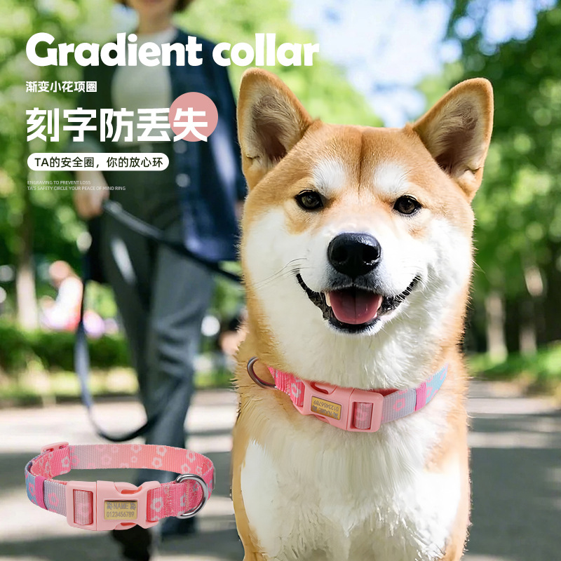 Nuevo collar de impresión gradiente para mascotas grabado anti-perdida collar de tracción perros collar de tracción al por mayor