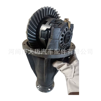 Differential assembly suitable for the rear axle