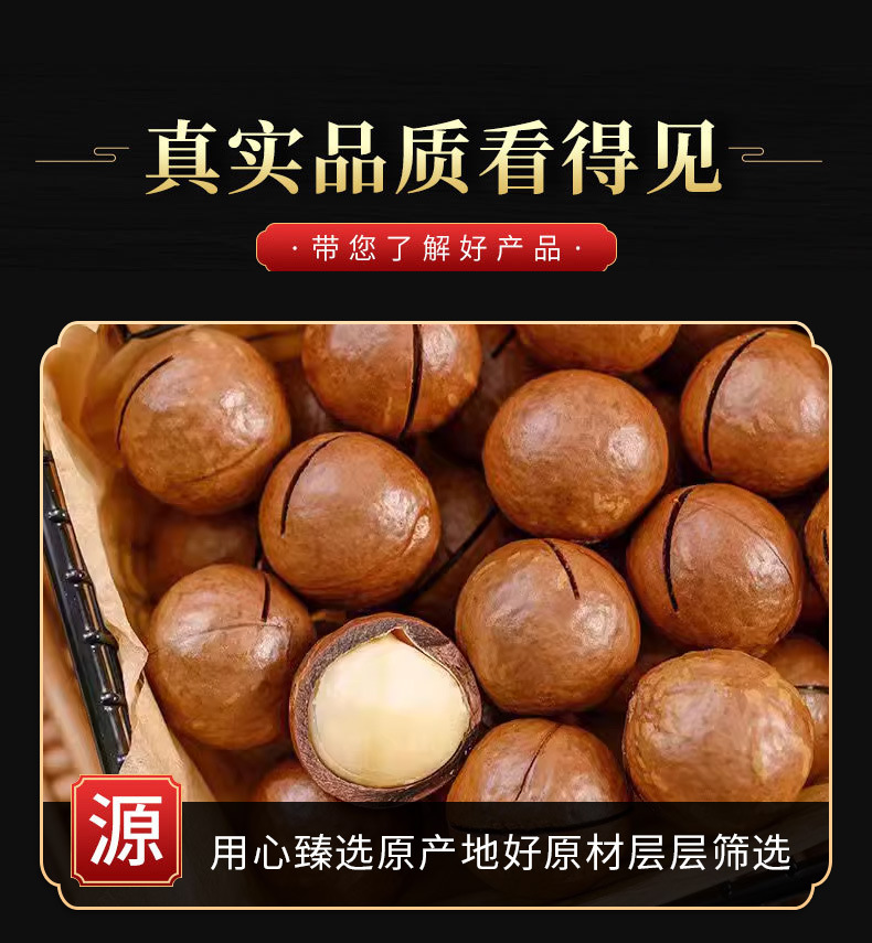 Macadamia Nuts (Macadamia integrifolia) — Creamy Jumbo Raw Food Nut, 500g quality and texture