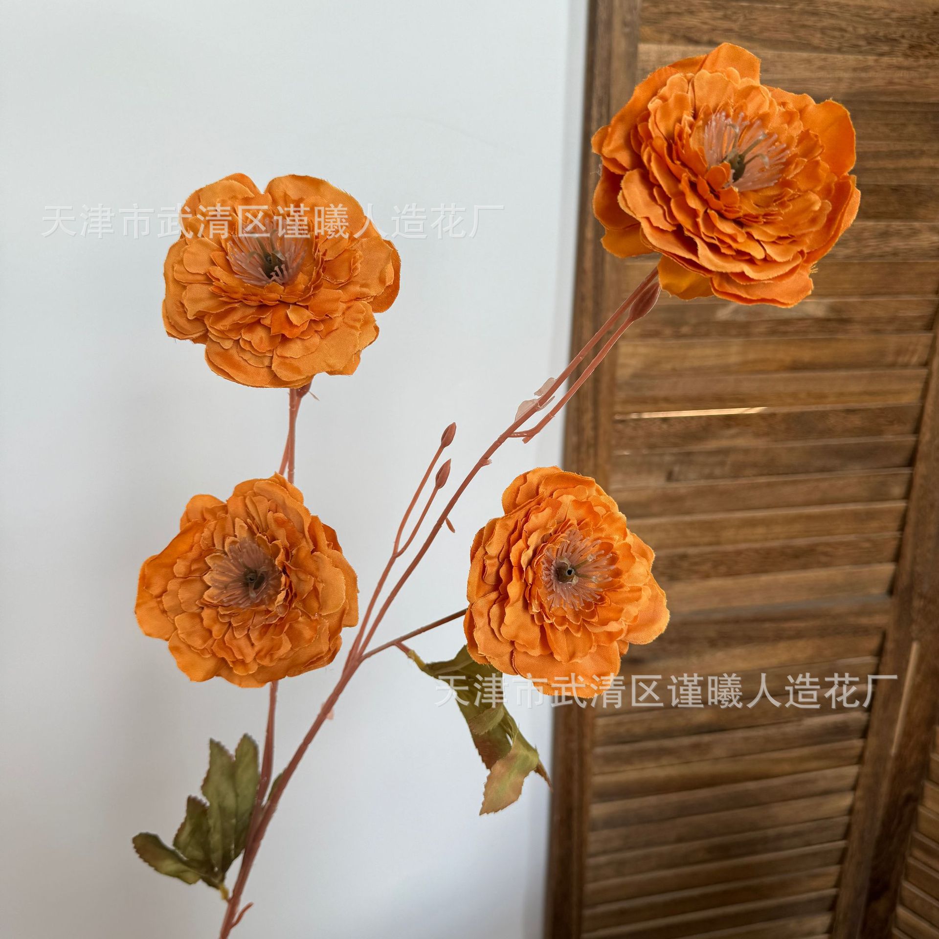 4 lớp hoa mẫu đơn