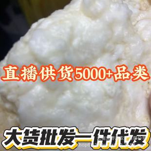 ʯ̫�q���`֥��Ʒ�|������lһ�����l