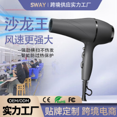 工場卸売りマイナスイオン電気ブロー美容店専用造形風筒大風力大出力ヘアサロンドライヤー