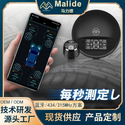 Japanese Tire Pressure Monitoring Tire pressure monitoring system