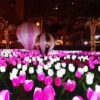 Scenery Park Lawn LED Plug lights tulips Festive lantern reed lighting outdoors Decorative lamp Noctilucent waterproof