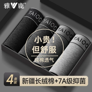 Product Media