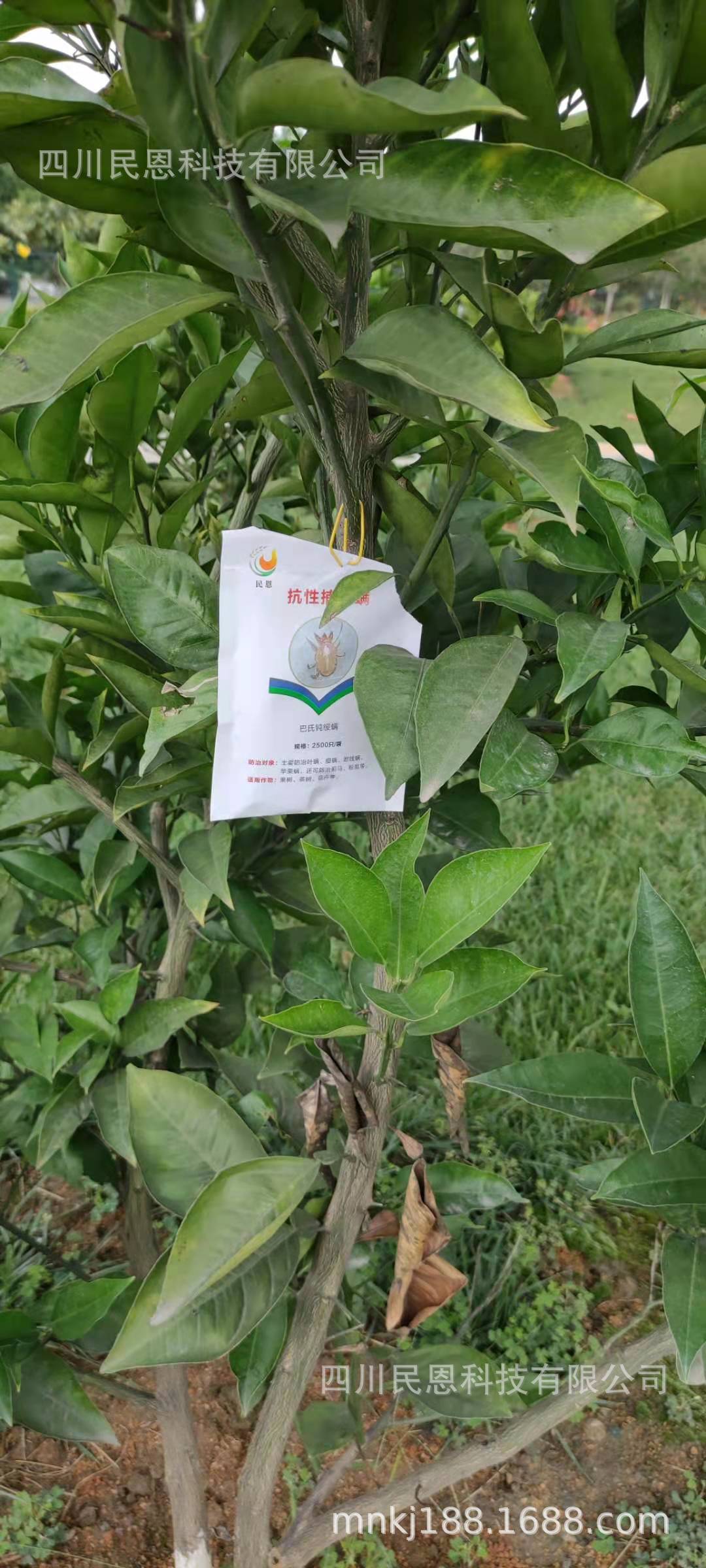 mmexport1627002222828