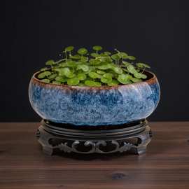 无孔铜钱草花盆陶瓷大号一叶莲碗莲特价清仓水培植物紫砂粗陶莲盆