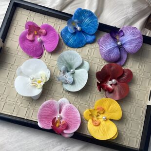 ��Ϧ�^�^�ϳ��ɺ����mĵ�������滨�l�A��Շ����պ�߅�����^�