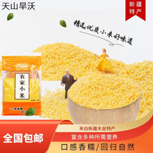 天山旱沃农家小米 新疆特产农家糯黄小米 新季小米批发零售