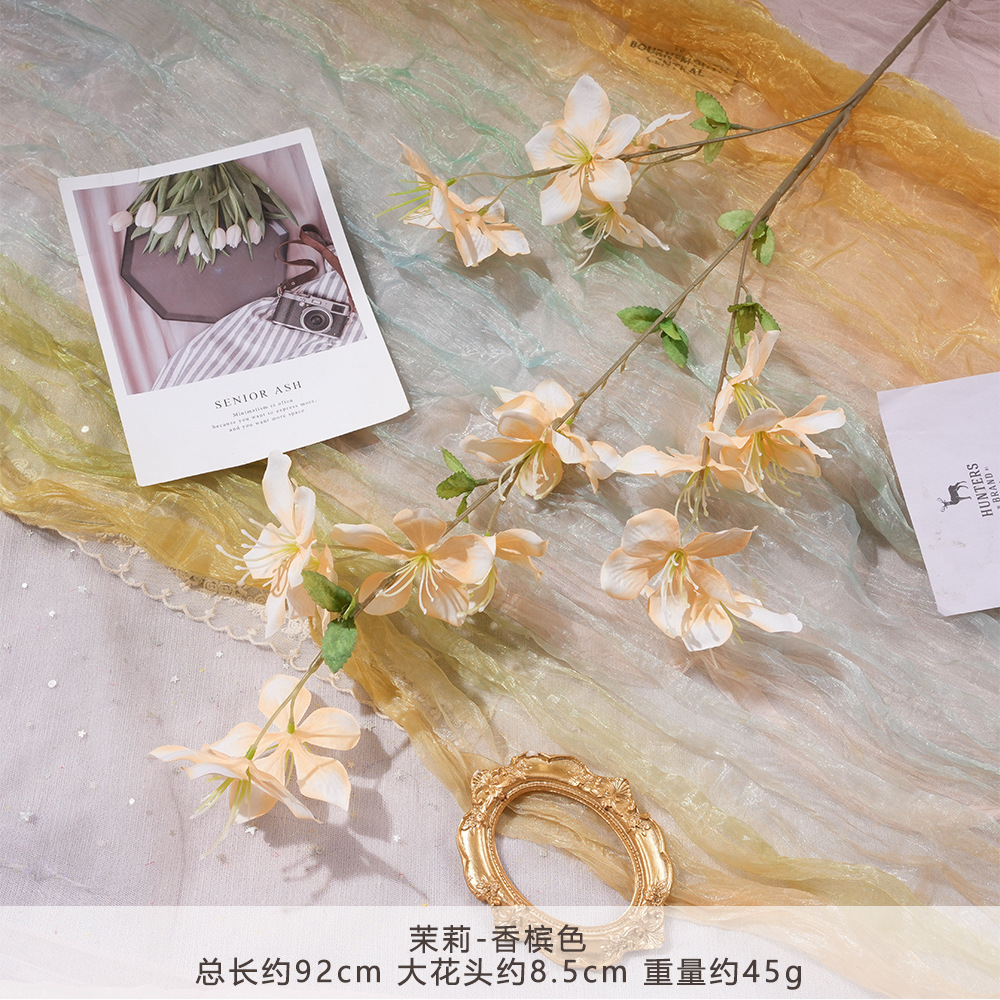 WP-茉莉-香槟色