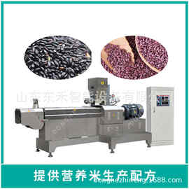 重庆人造米生产线荞麦米生产线供应商米加工机器
