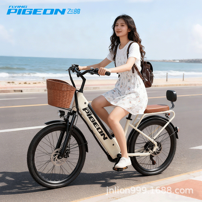 Batería desmontable de paloma de vuelo eléctrica de litio para bicicleta de montaña vehículo eléctrico ligero de asistencia para hombres y mujeres