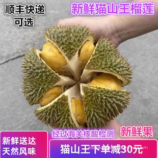 ؈ɽ����ɏ���r�����خa����ˮ���Fժ10��̩��С������S����ɏ��