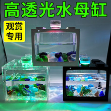 水母生态缸小鱼缸创意微造景观斗鱼缸热带鱼水族箱带led灯生态瓶