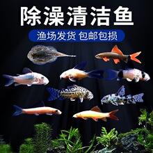 �����~�����󷫽�̦��؈��С�͵ח��^�p�~�׳����坍���������~