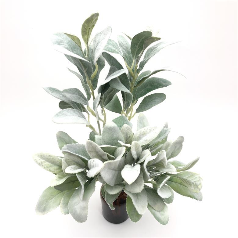 2021-07-21 180234.jpg