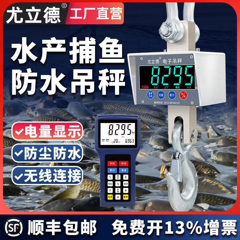 Youlide водонепроницаемые цифровые крановые весы 5 тонн 10 т крановые весы крючковые весы 3 тонны беспроводные крановые весы с печатью 2 т