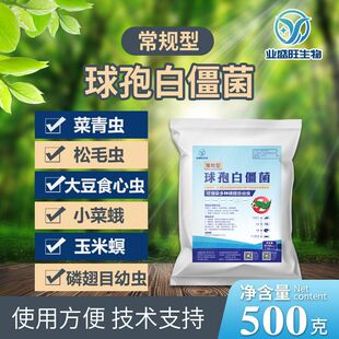�Iʢ�����߰׽�������b��ë�x���ϻ�������ș����ρ�ȶ�N���x