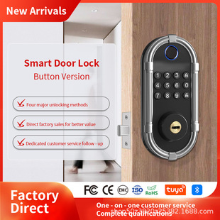 Factory Direct Sales Smart Lock for Wooden Doors, Swipe Card Electronic Password Graffiti Smart Lock, Office Fingerprint Lock