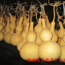 厂家直销天然葫芦 大中小号葫芦工艺品摆件 特大亚腰葫芦批发