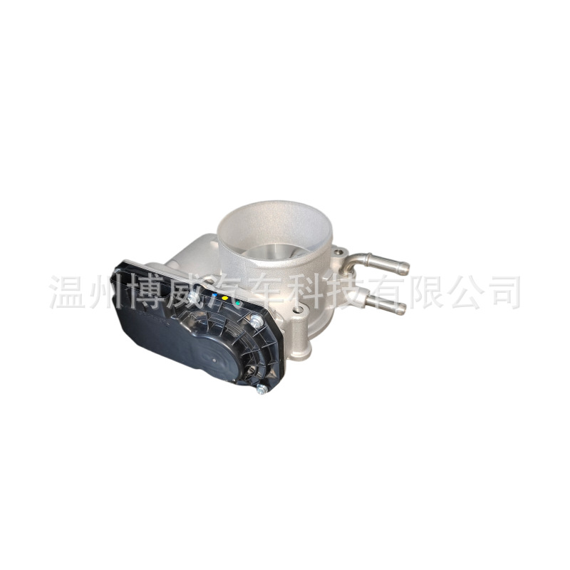 Saien, 2203036010, 220300V010, 220300V040, VE65G, E5980930 throttle valve