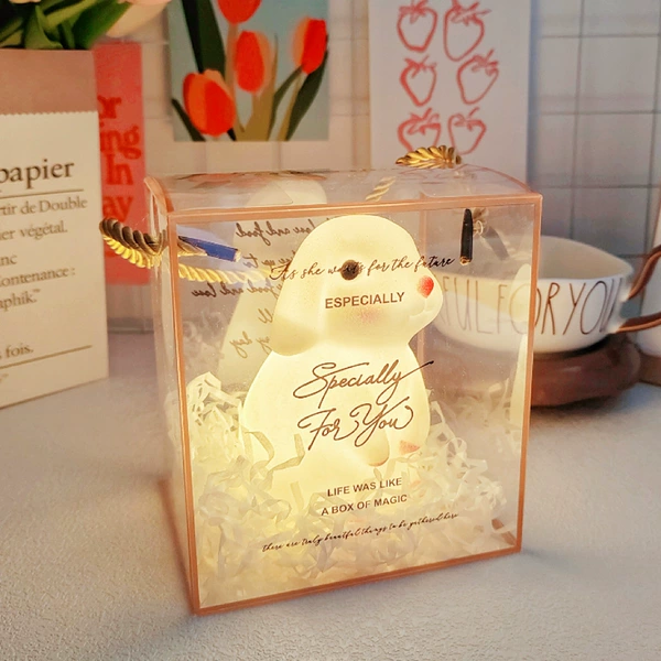 Yumui Rabbit+square box/Rafieca