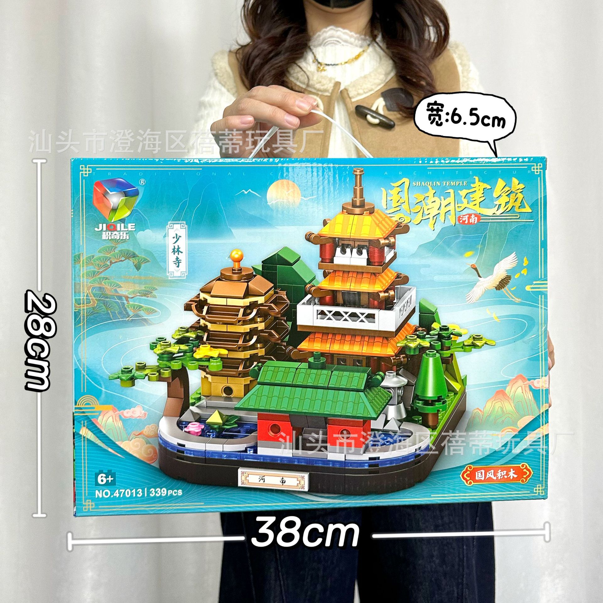 47013少林寺积木【339颗粒】