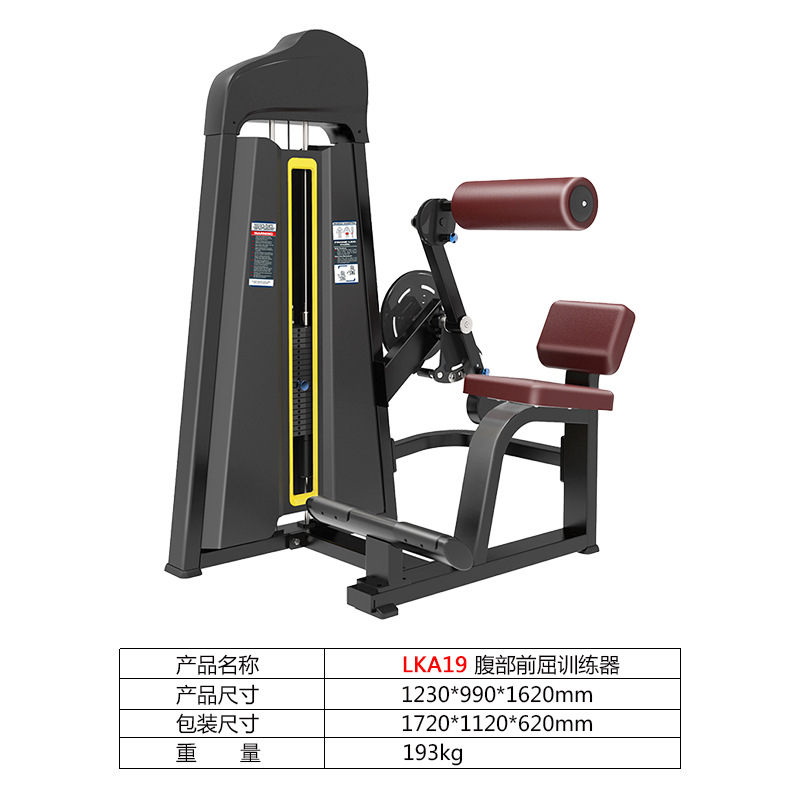 El entrenador abdominal trasero gimnasio comercial debe insertar equipo de fitness de fuerza multicolor suministro directo de fábrica