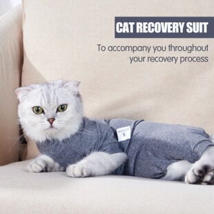 ���u؈�����_�g�����ĸ؈�^���������m�ã�����ë���N�ďS��ֱ��