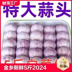 批发紫皮当季大斤2024蔬菜金乡10籽蒜头5斤装蒜散装大蒜干大新鲜