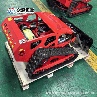 Mountain Climbing Agricultural Pruning and Weeding Machine All-Terrain Gasoline Lawn Mower Zy550 Brushless Lawn Mower