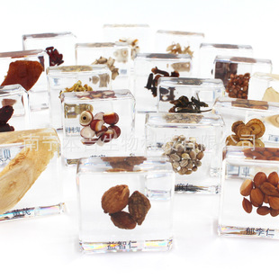 Collection and Preservation of Chinese Herbal Medicine Resin, Amber Specimens, Tangerine Peel, White Box, Astragalus, Adzuki Bean and Other Learning Teaching Aids