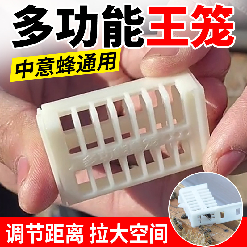 中蜂意蜂塑料王笼 蜜蜂多功能蜂王笼 囚蜂王皇笼 养蜂工具 包邮