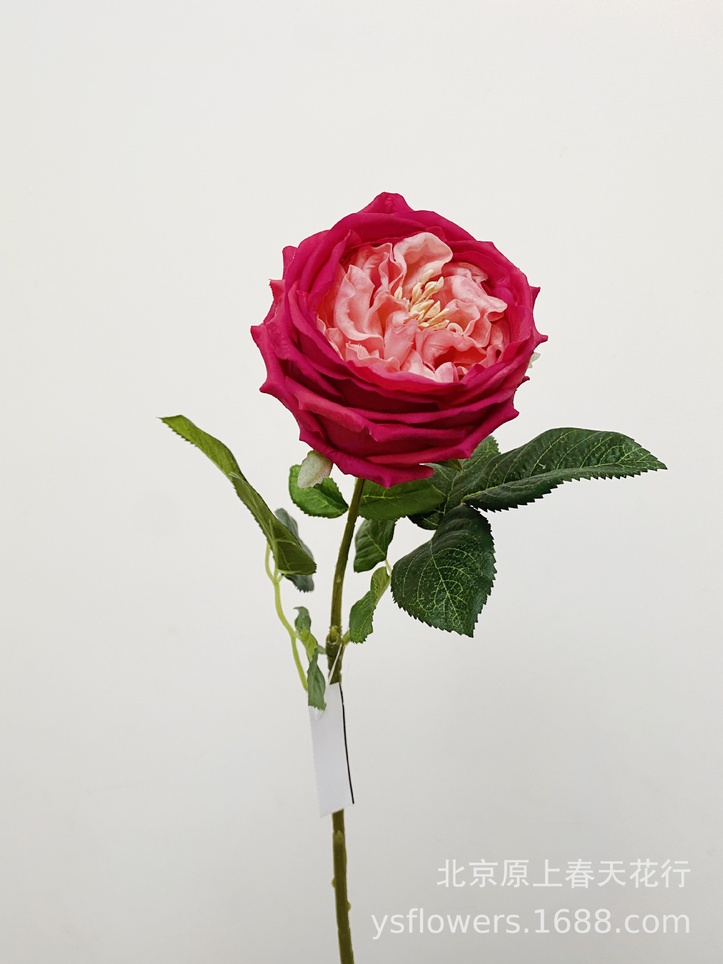 Siente artificial hidratante atin Rose Bud Core Rose temporada accesorios de tiro flor falsa planta decorativa flor falsa