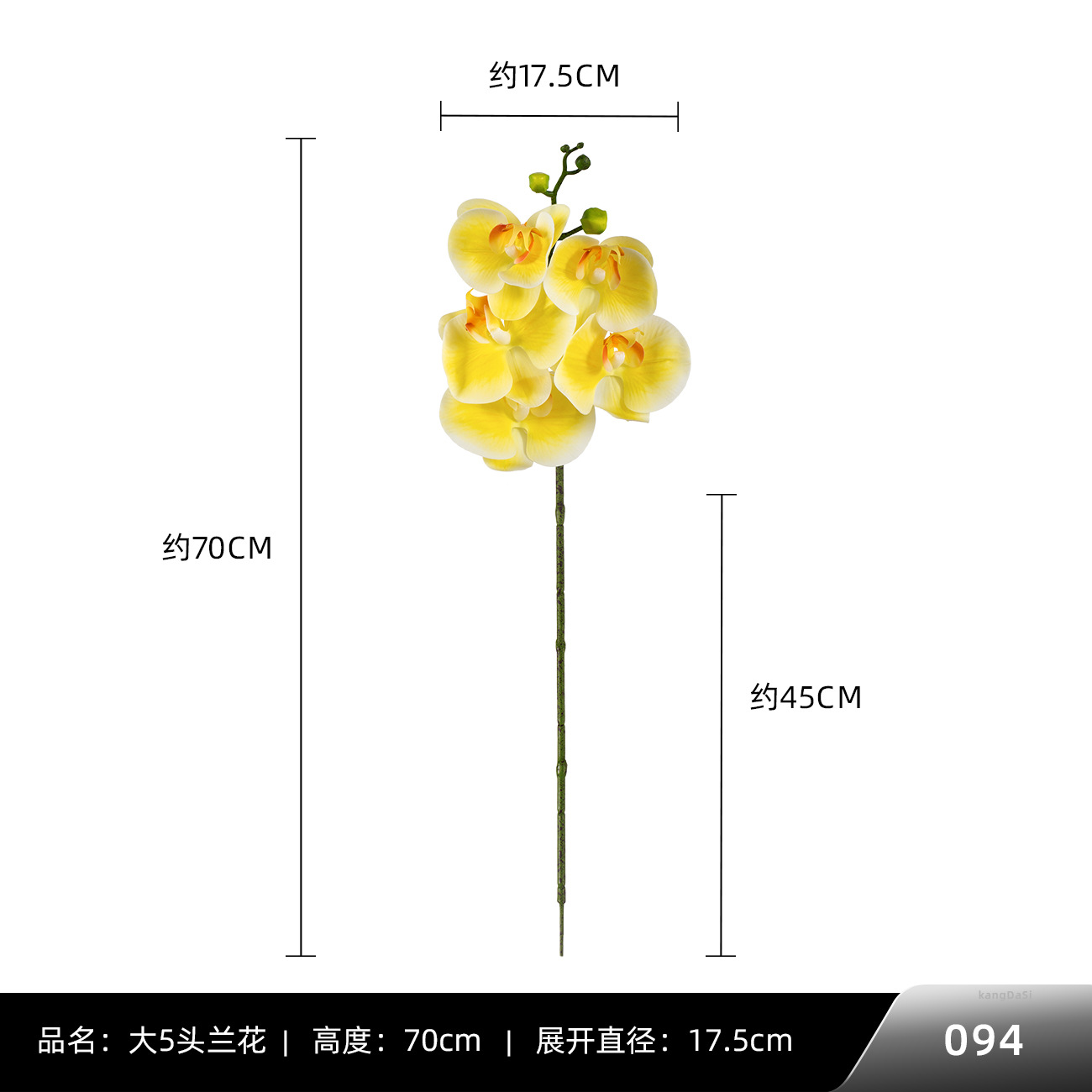 094 # 빅 5 호접란