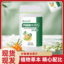 华佗足迹【沙棘蛹虫草片】中老年正品人参虫草