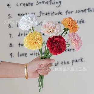 (Wholesale), fuchsia realistic photography props for mother's day, Birthday gift