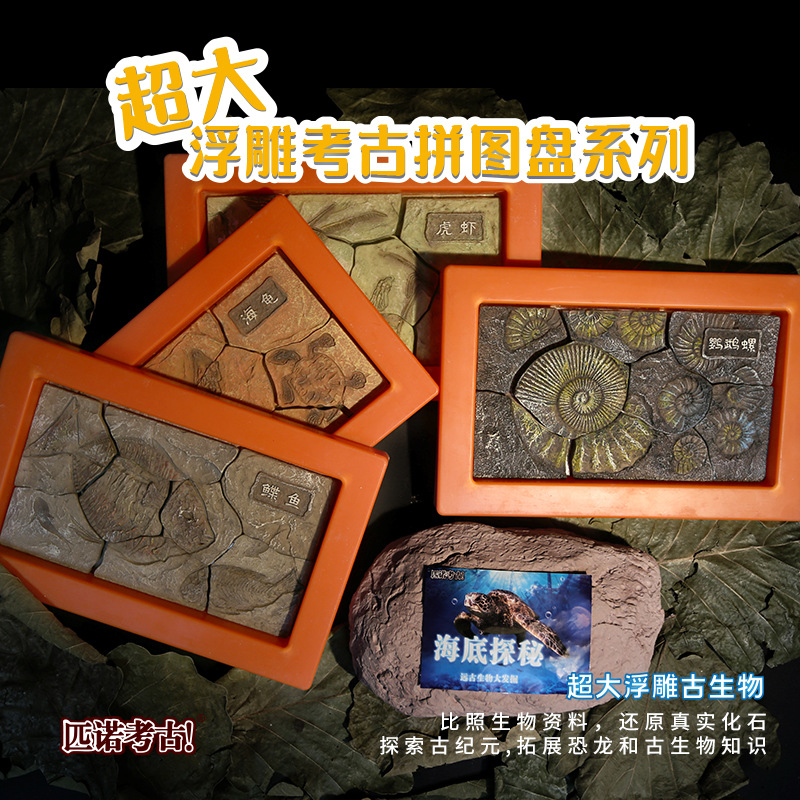 P165-12-Full 케이스 라이브 에디션 특대-퍼즐 검증 플레이트 특대 유물 4