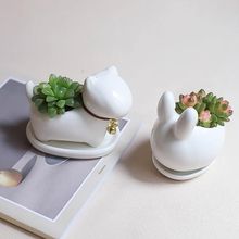 �k�������������������ֲ���׃��@�҃�С���Թ�λ�Gֲ�ļ����B��