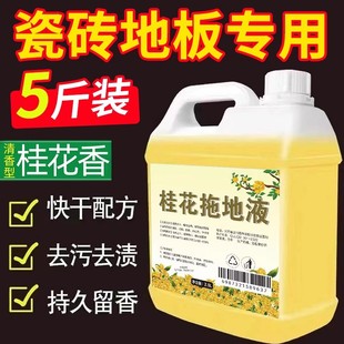 Osmanthus Fragrance Special Cleaning Liquid for Mopping Toilet Water Household Floor Cleaner High Concentration and Odor Removal Batch