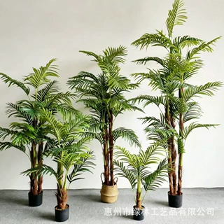 仿真散尾葵绿植装饰商场家居盆栽凤尾葵落地植物细竹葵仿真棕毛葵