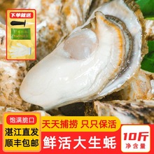 տ���r�����10���ش�̖��S���]���r���rĵϠ��Ϡ�ӏV�|ˮ�aؐ�