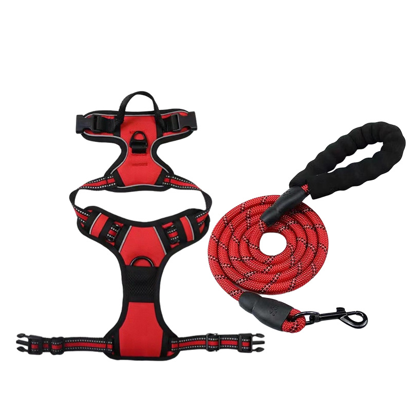 Red [strap + leash] set