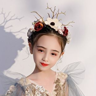 �͹�ɭϵ��֦¹��õ��M���Ǹɻ����h�F����������^����