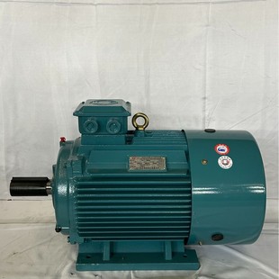�S��ֱ�N���ɶ�����Ч늙CYE4-200L4-30KW���ஐ��늙C30ǧ