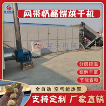 网带奶酪饼烘干机 全自动奶渣奶球奶块蒸汽式干燥机 奶疙瘩哄干机