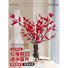 �t÷��֦ˮ���滨�r֦ѩ���������D÷�r�л���ֲ���҃��һ�֦�͏d