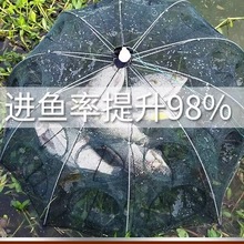 �~�W���~�\�O�W��С�~�S�Xץ�~�ؾW�~�\�֒��W���r�\���q�Ԅ�
