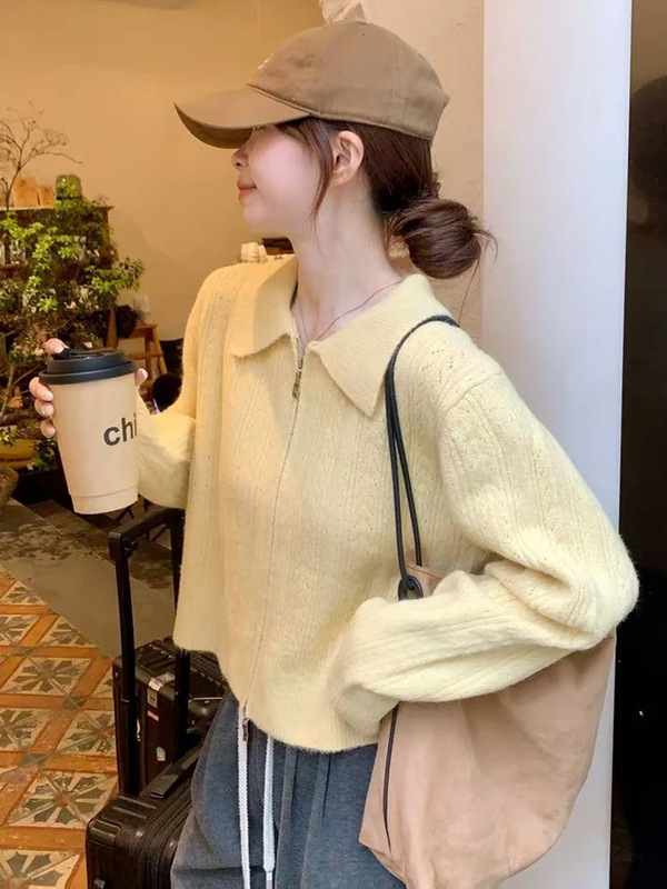 法式复古拉链翻领毛衣外套女秋季穿搭奶呼呼软糯宽松针织开衫上衣|undefined
